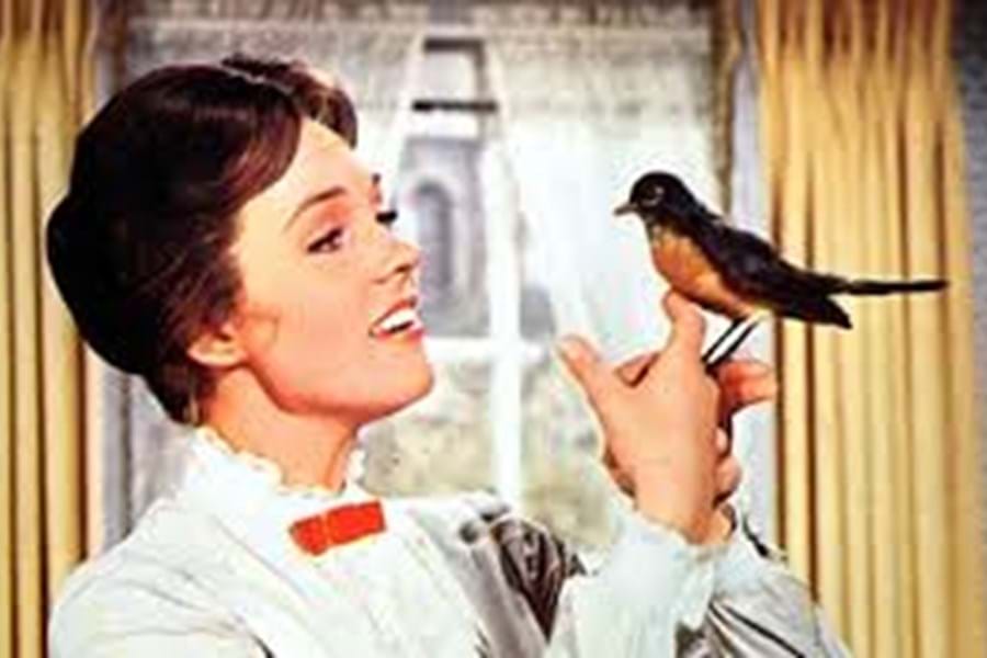 Welcome to Victoria Clark our newest member of the Hummingbird team .