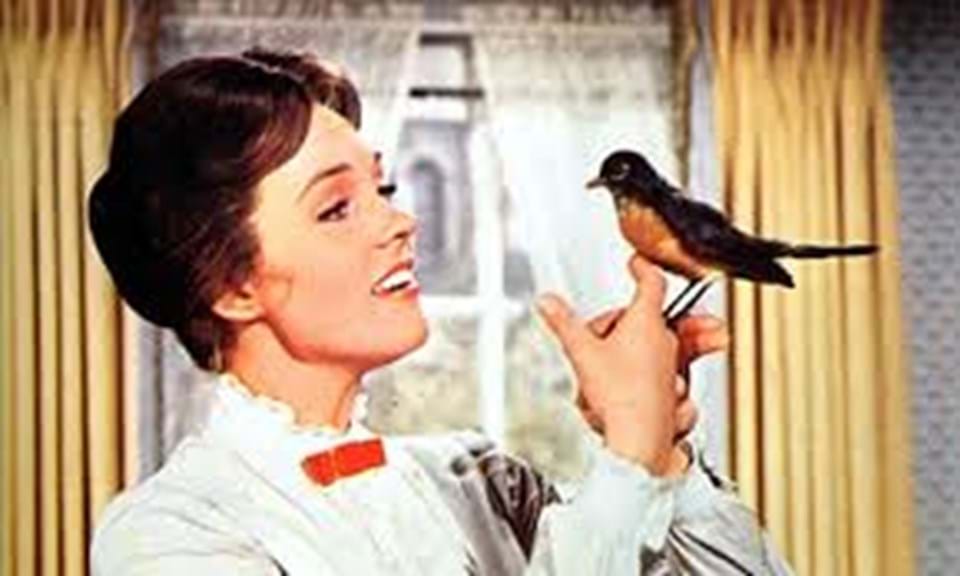 Welcome to Victoria Clark our newest member of the Hummingbird team .