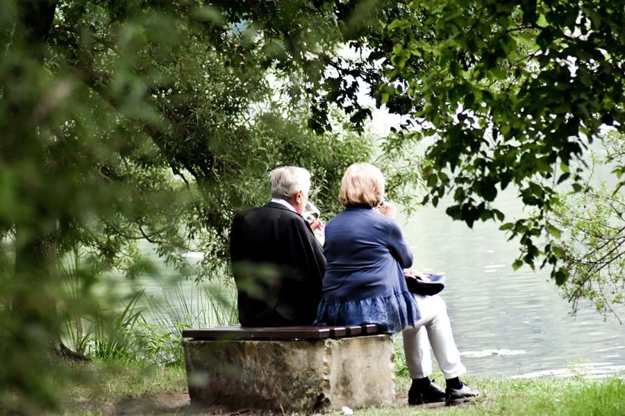 Reliable experienced companions, housekeepers and practical help for your loved ones image