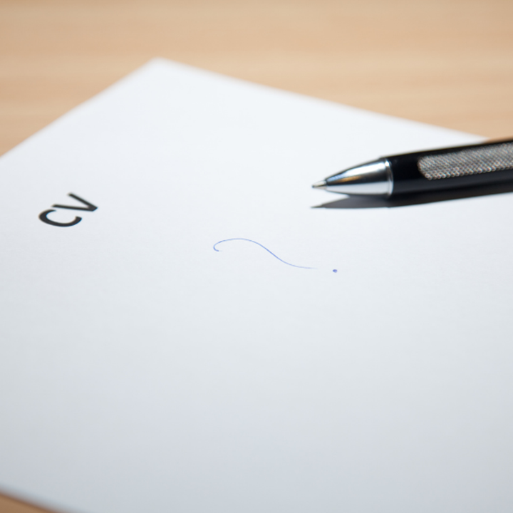 professional cv writing service